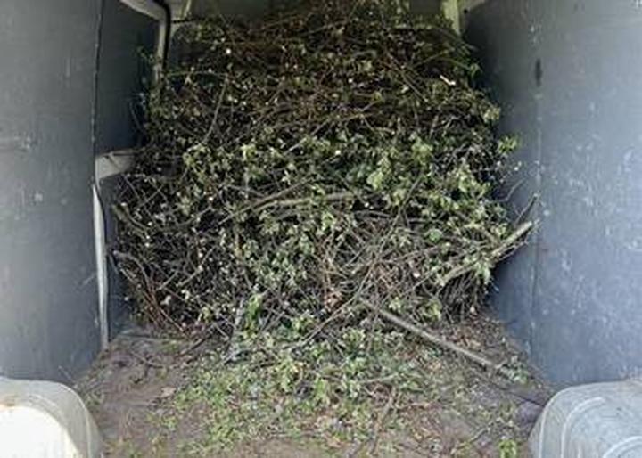 Przepisy dotyczące odpadów zielonych