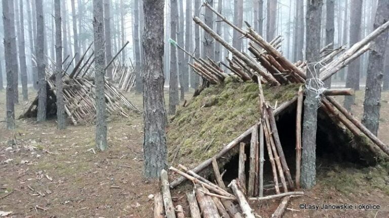 Jak skutecznie zbudować szałas w lesie – przewodnik dla miłośników przygód