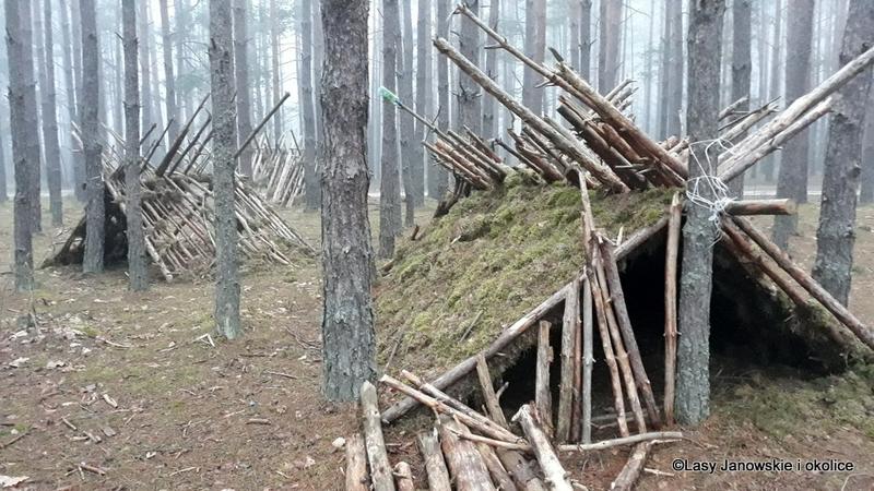 Jak skutecznie zbudować szałas w lesie – przewodnik dla miłośników przygód