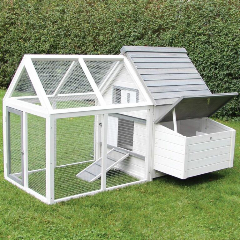 Praktyczny przewodnik: Jak zbudować kurnik z drewna krok po kroku