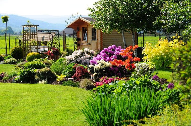 Dobór roślin do lokalnego klimatu