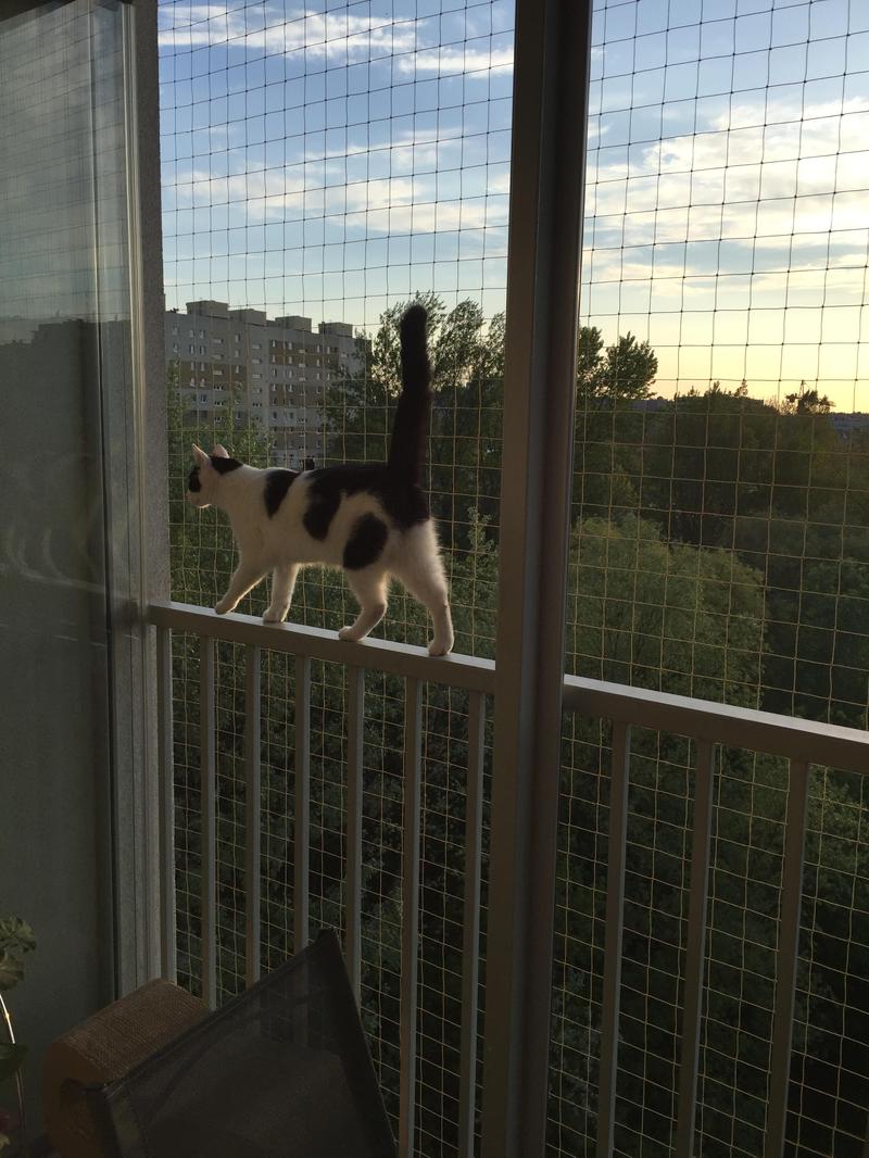 Estetyka i dopasowanie siatki do balkonu