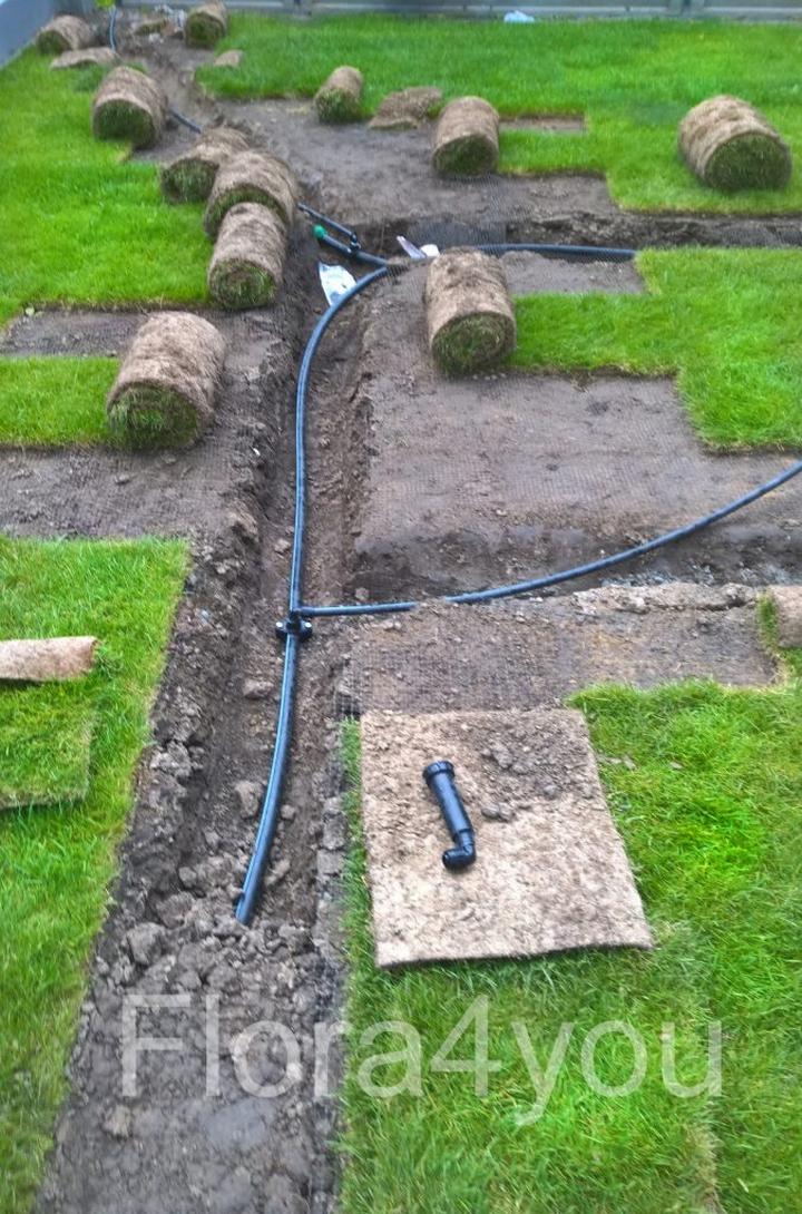 Recykling wody w ogrodzie