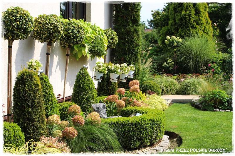 Rośliny przyjazne zapylaczom