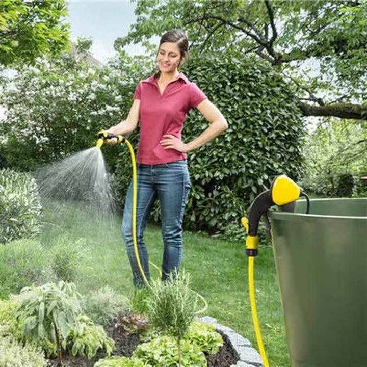 Wpływ chemii basenowej na rośliny