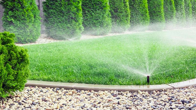 Czy nawadnianie ogrodu to dobry pomysł na zdrowe rośliny?