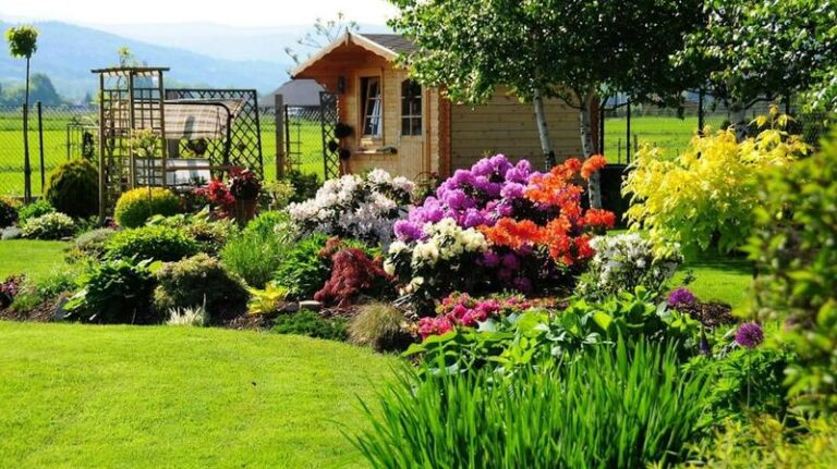 Jakie rośliny najlepiej posadzić w przeciągu, aby cieszyć się pięknym ogrodem?