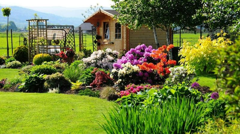 Jakie rośliny najlepiej posadzić w przeciągu, aby cieszyć się pięknym ogrodem?