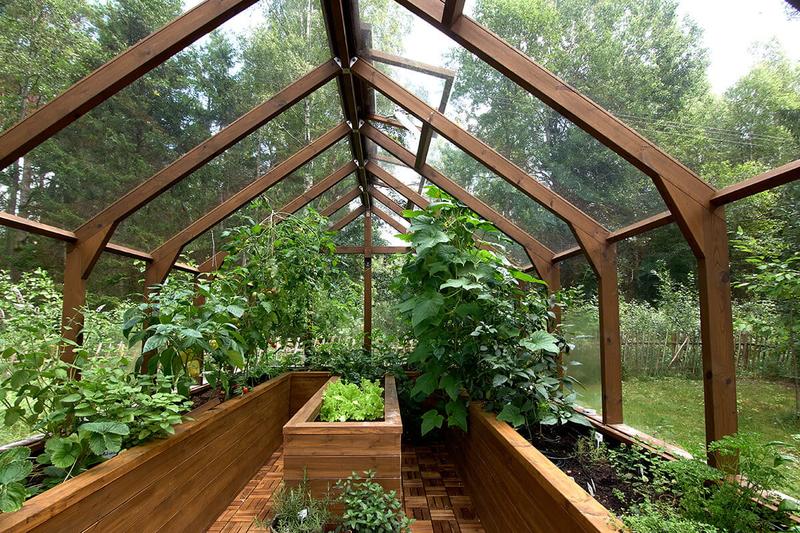 Budowa szklarni drewnianej