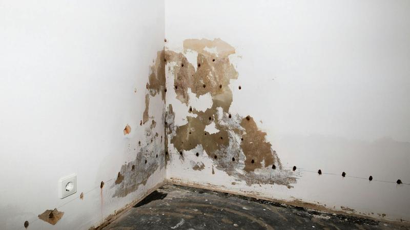 Czas osuszania budynku