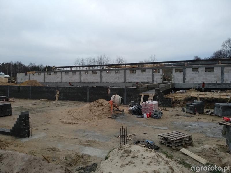 Innowacyjne technologie w chlewni