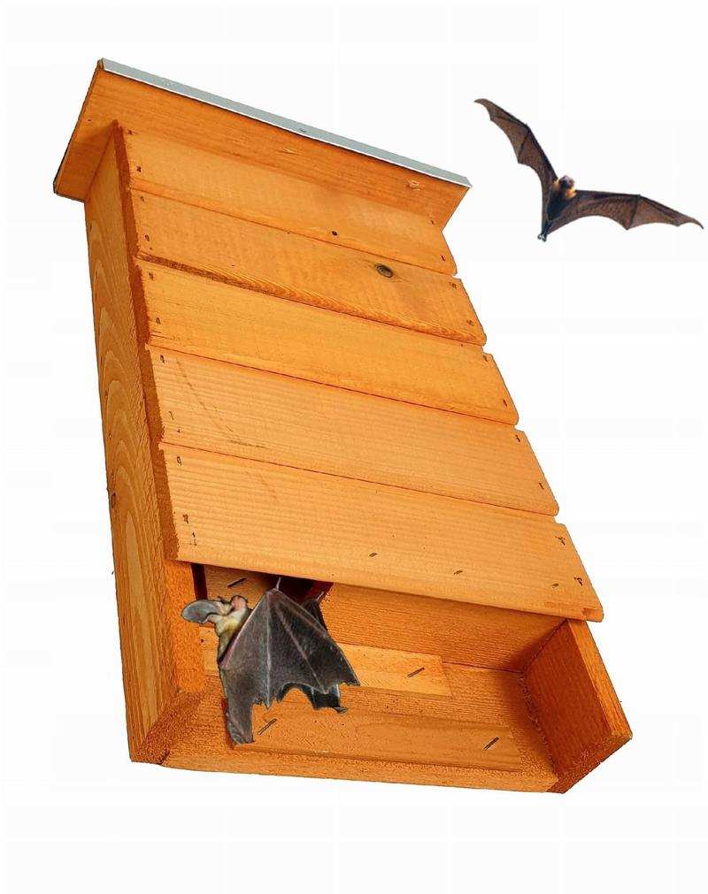 Materiały i narzędzia do budowy domku dla nietoperzy