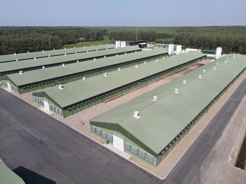 Przepisy prawne budowy chlewni