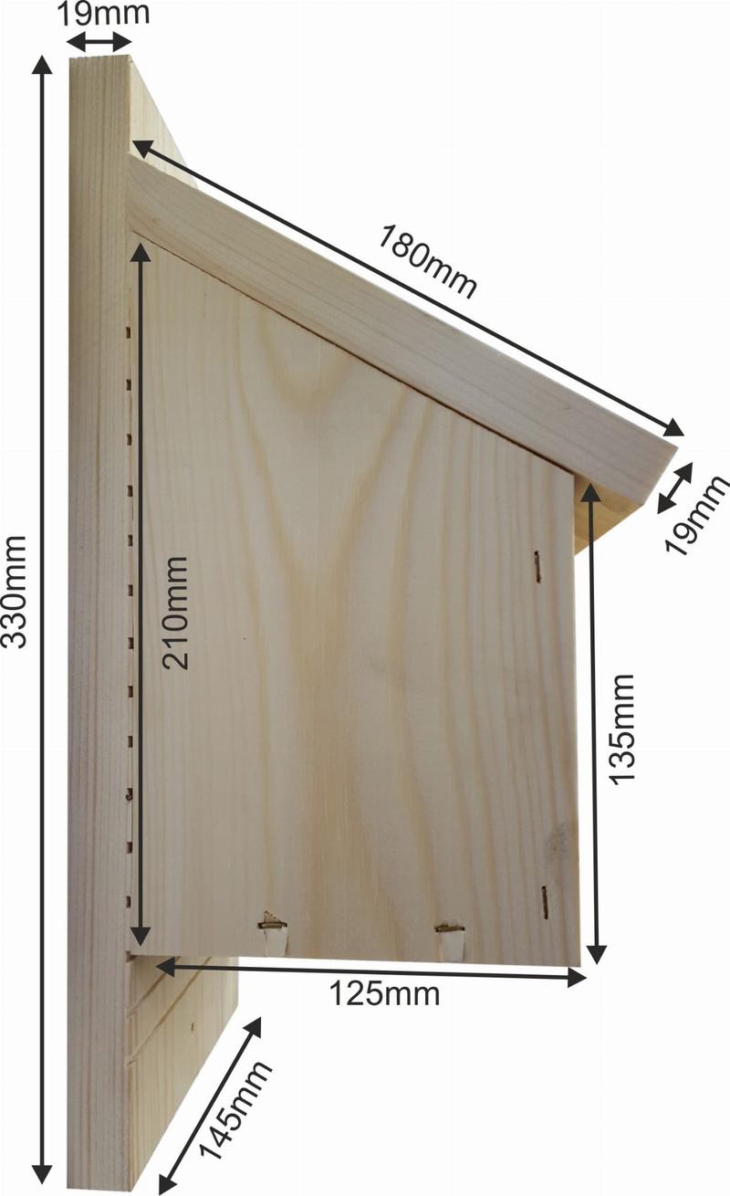 Sezonowa pielęgnacja domku dla nietoperzy