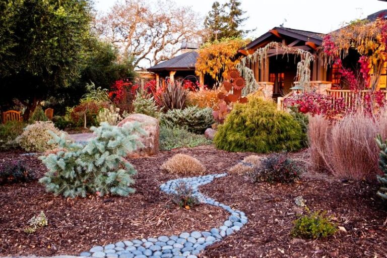 Jak dbać o ogród jesienią: Czy podlewać rośliny przed zimą?