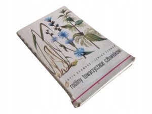 Najlepsze rośliny do sadzenia obok ziemniaków – stwórz idealne towarzystwo w swoim ogrodzie