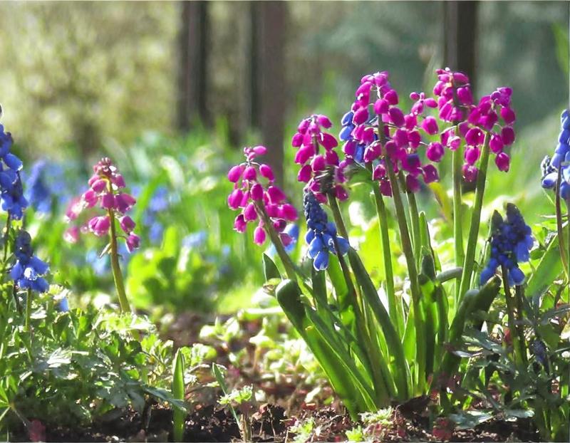 Kolorowe kwiaty i dekoracyjne liście