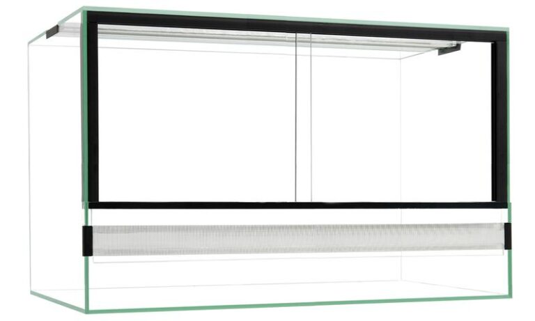 Odkryj Sztukę Tworzenia: Jak Zbudować Piękne Terrarium w Zaledwie Kilka Kroków