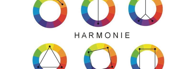 Harmonia kolorów: jakie farby do siebie najlepiej pasują?